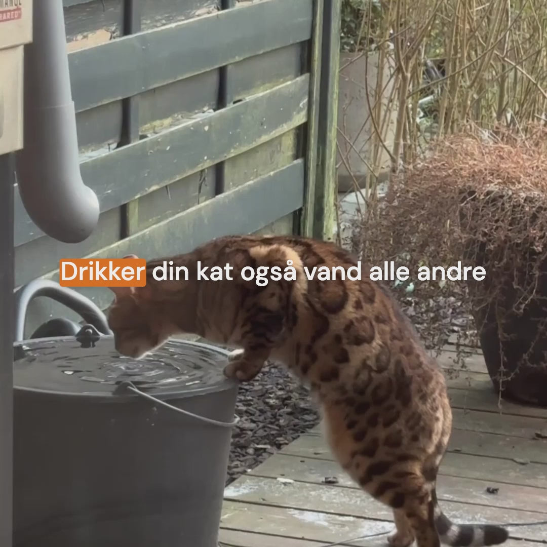 SnoutiePot™ - 2,2L Drikkefontæne m. Filter