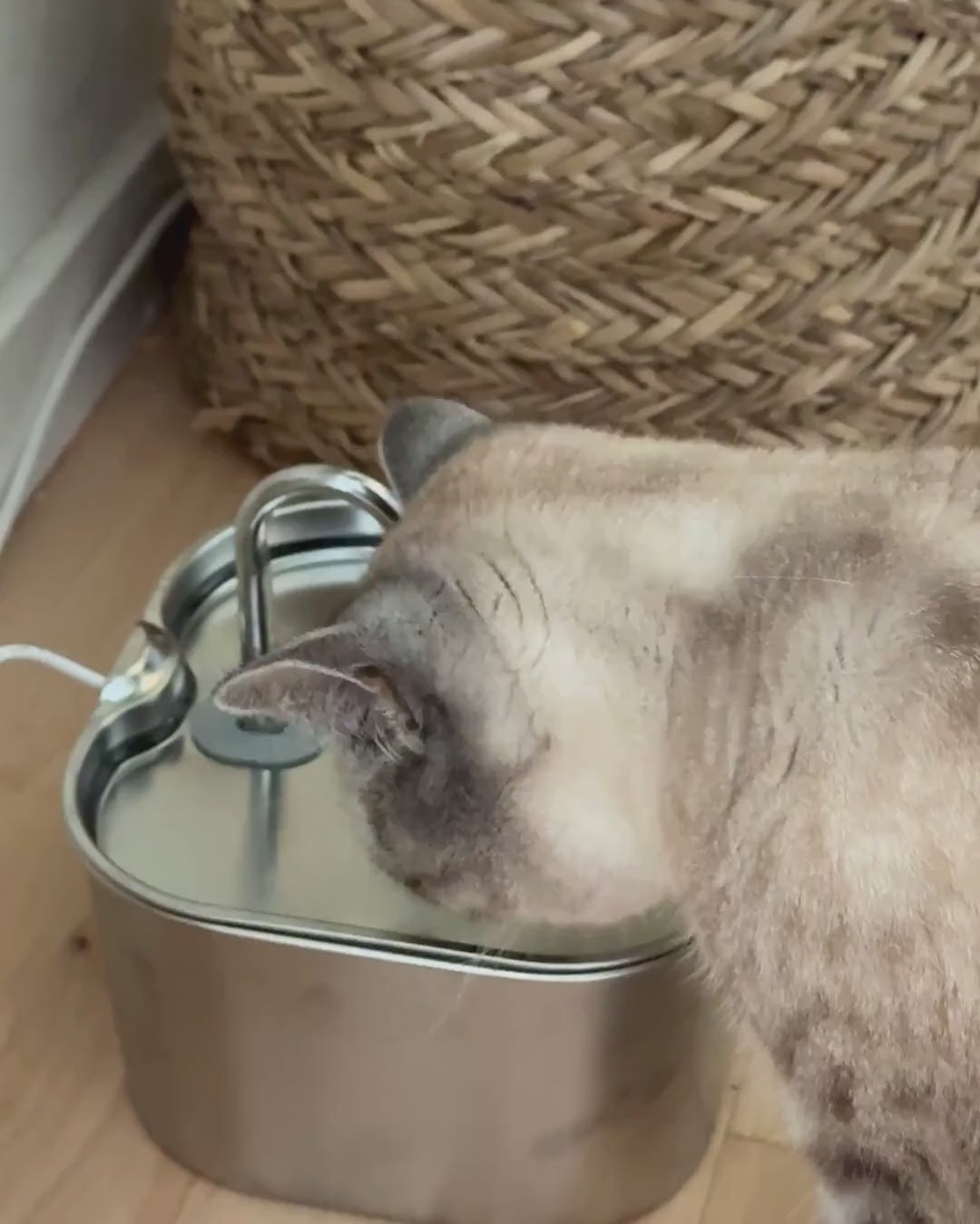 SnoutiePot™ - 2,2L Drikkefontæne m. Filter