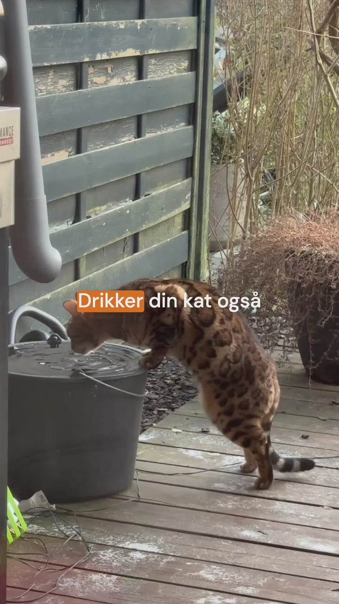 SnoutiePot™ - 2,2L Drikkefontæne m. Filter